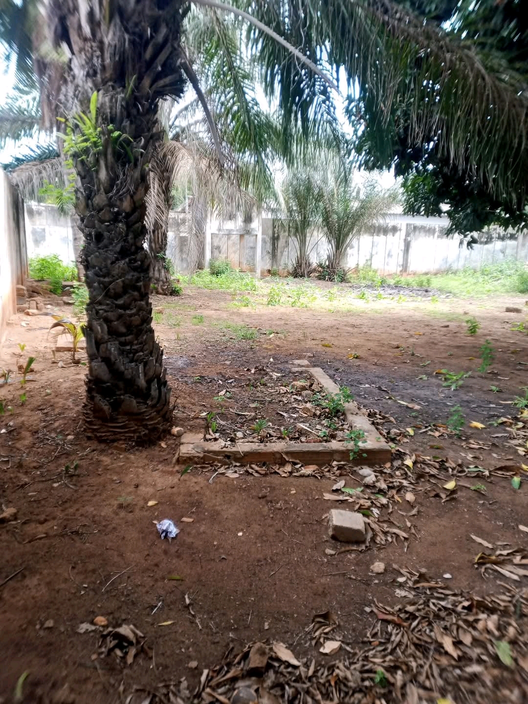 Terrain 2 lots coller en vente a Lome agoe centre