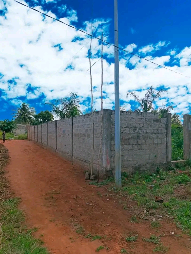 Terrain un lot clôturer en vente a Lomé zanguera