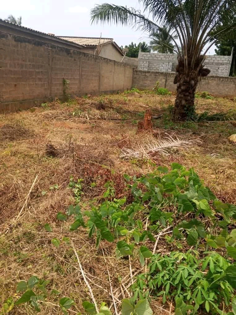 Terrain en vente a Lome agoe sogbossito